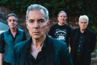Dr. Feelgood