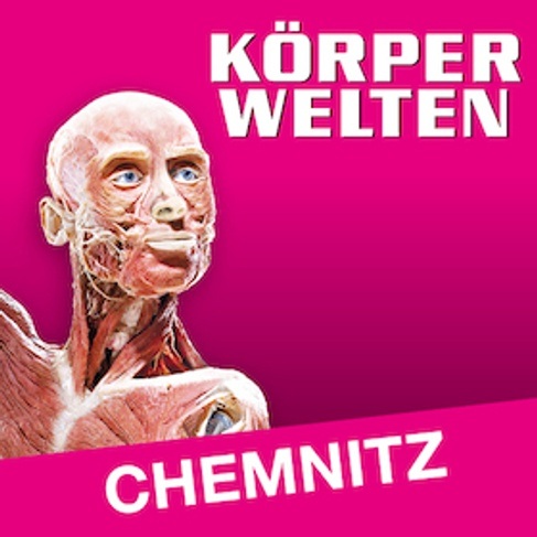 KÖRPERWELTEN | Chemnitz | Zeitfensterticket