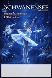 Schwanensee – Ballett in 2 Akten