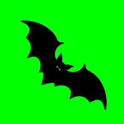 Im Schatten der Dämmerung