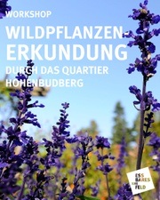 Wildpflanzen-Erkundung in Hohenbudberg