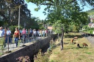 Exklusive Weinwanderung mit Speis und Trank