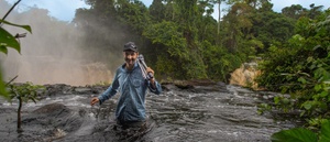 Reise-Vortrag: Dschungelwelten