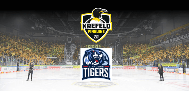 Krefeld Pinguine vs. Straubing Tigers - Spieltag 17