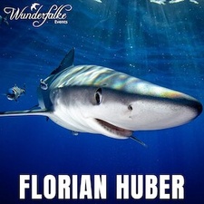 WUNDERFALKE: Florian Huber - LIVE