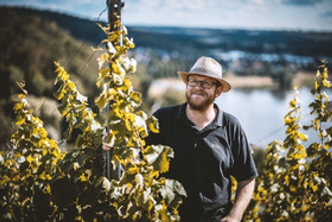 Erlebnistag in den sächsischen Weinbergen inkl. Schifffahrt, Weinwanderung, Weinprobe & Brotzeit