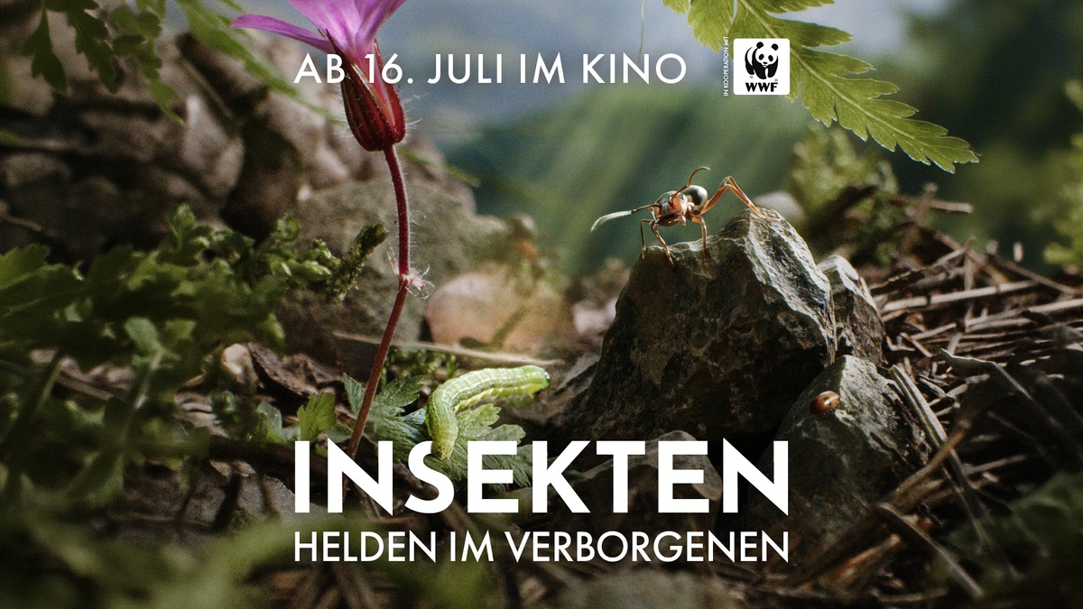 Titelbild der Veranstaltung Kino im historischen Klärwerk: Insekten – Helden im Verborgenen (2026)