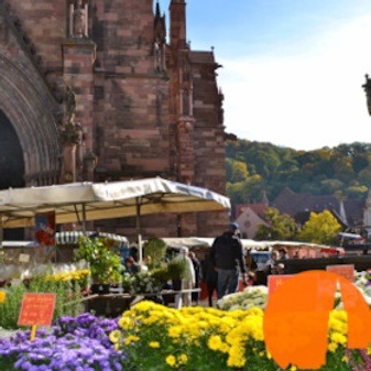 Freiburg für Einsteiger