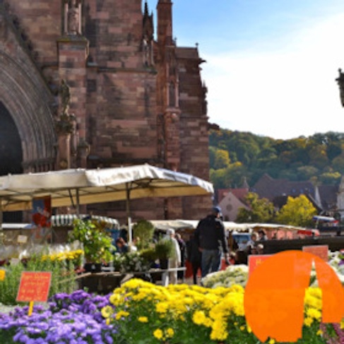 Freiburg für Einsteiger