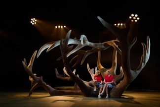 Mein kleines Prachttier