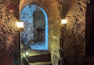 Freiburger Unterwelten