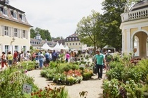 Das Gartenfest Hanau