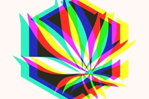 CANNAFRIENDS I Hanf-Fachmesse & Manufaktur 2026