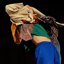 Kreationen III: Ordnung ist das halbe Leben / Metamorphosen / Memento Musca / in melle veritas / Tsuki