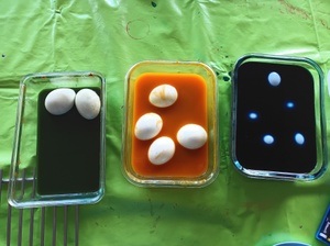 Ostereier mit Pflanzen färben