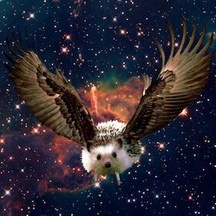 Eagel Slam 1000