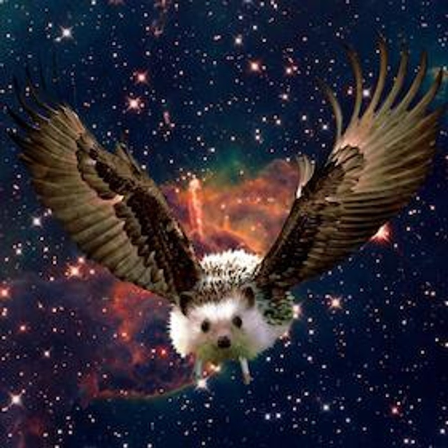 Eagel Slam 1000