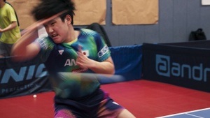 Ping Pong Paradise