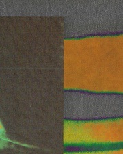 BLITZ w/ Freddy K, Olivia Mendez.