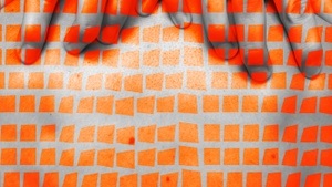 Das Archiv der Träume