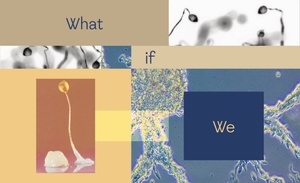 WHAT IF WE