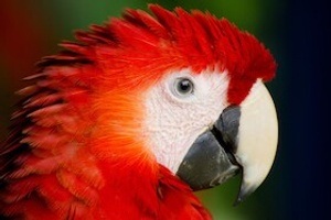 WunderWelten im Augustinum: Kolumbien