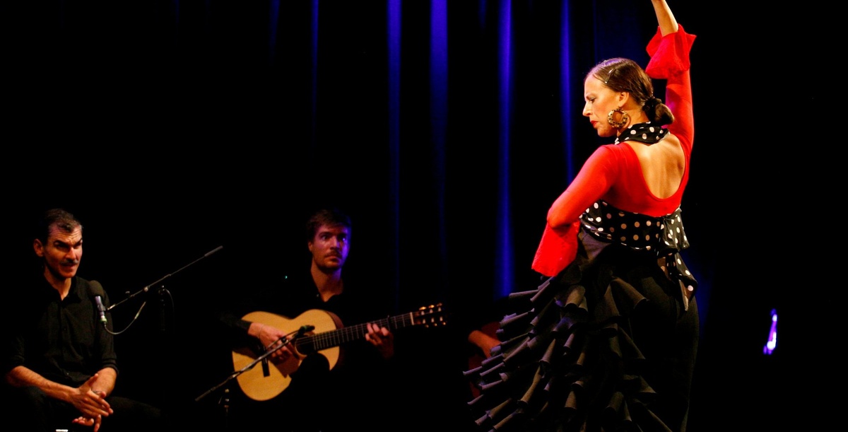 Flamenco puro