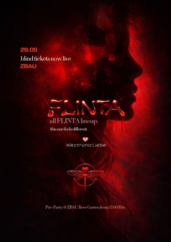 ElectronicLiebe: Transcend Flinta