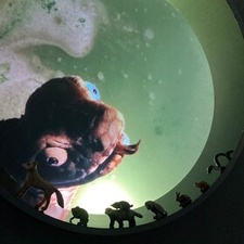 Als die Tiere den Wald verließen (8+)