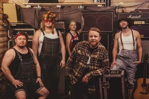 Steve 'n' Seagulls