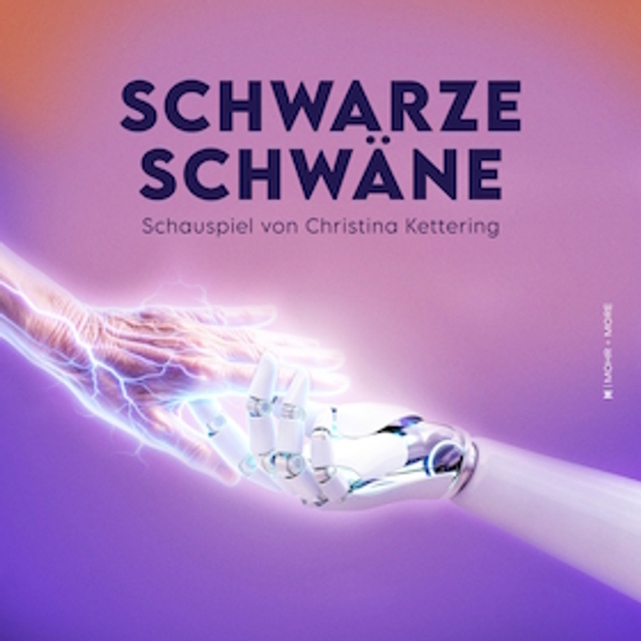 Schwarze Schwäne