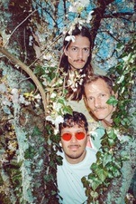 Löwenzahnhonig (CH)