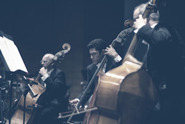 Mixed Zone 3 / Nesrine