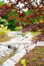 Führung durch den Japanischen Garten in Bad Krozingen