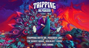 Tripping with Dr. Peacock im Dezember in Hamburg