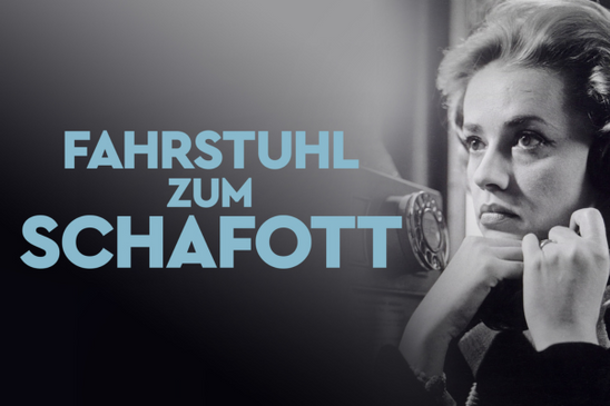 Flexibles Flimmern: Fahrstuhl zum Schafott