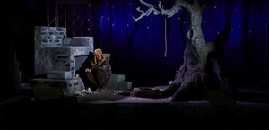 Was das Nashorn sah, als es auf die andere Seite des Zauns schaute