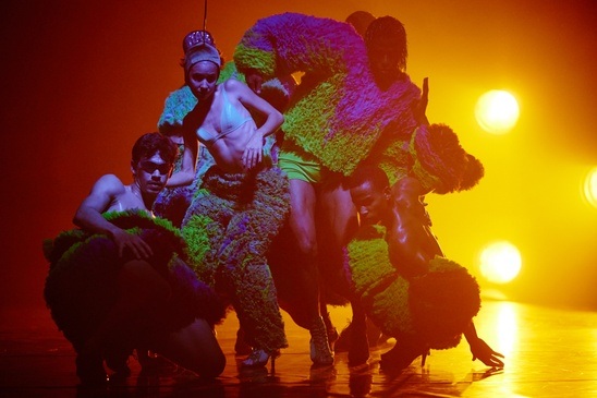 TRAPICANA