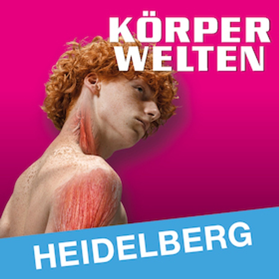 KÖRPERWELTEN | Heidelberg | Tagesticket