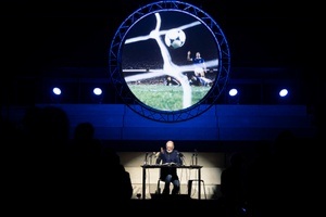 Die Nacht von Sevilla