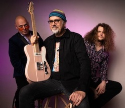 Koch Marshall Trio