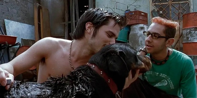 Amores perros (2001)