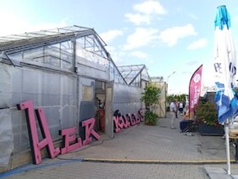 Sommer-Kabarett: 9m² - 800 kalt