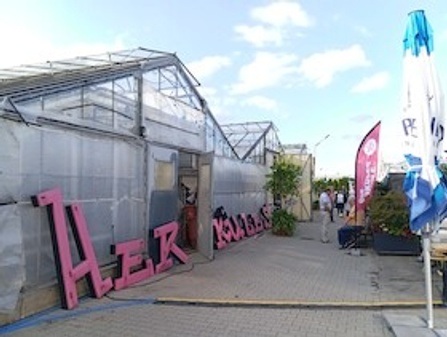 Sommer-Kabarett: 9m² - 800 kalt