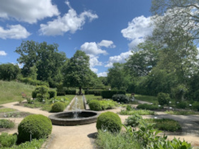 Öffentliche Führung im Heilpflanzengarten