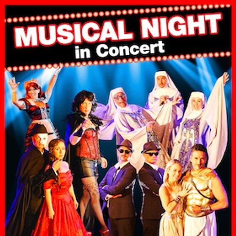 Musical Night in Concert