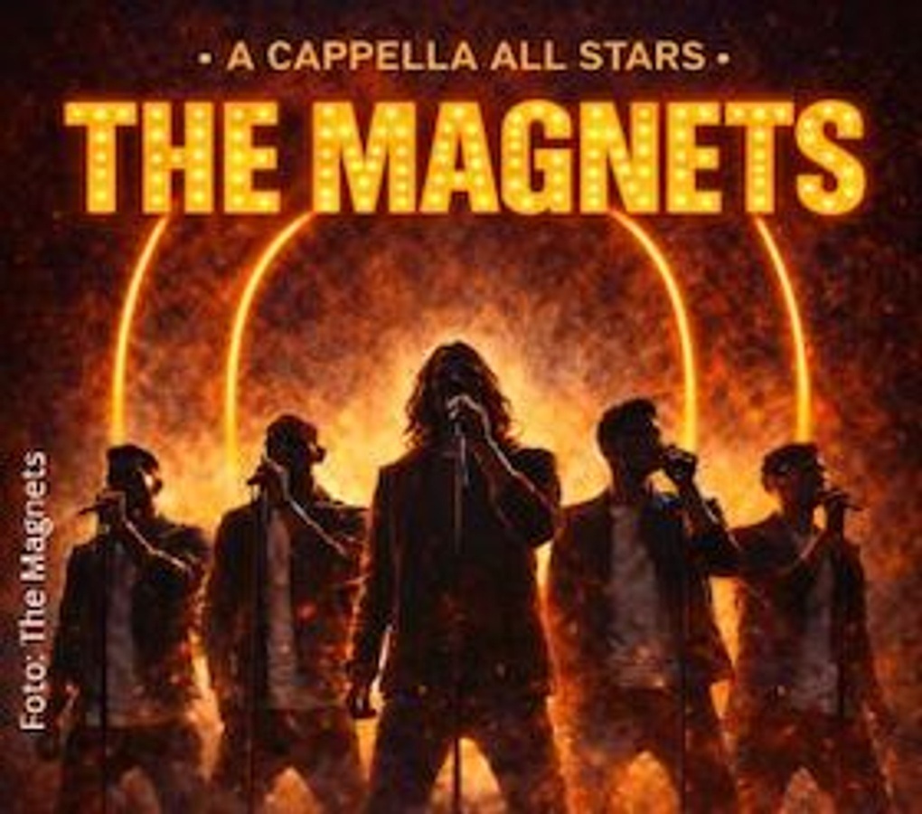 The Magnets - Reload
