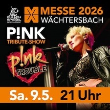 P!NK TROUBLE