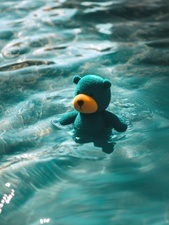 Anfall und Ente