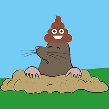 Vom kleinen Maulwurf, der wissen wollte, wer ihm auf den Kopf gemacht hat